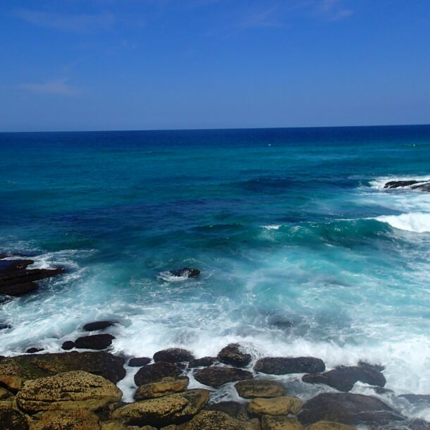 Bondi to Coogee Walk