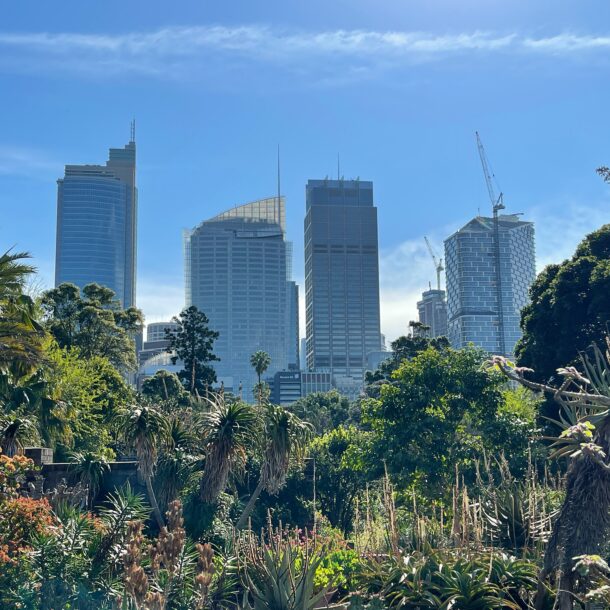 Royal Botanic Garden