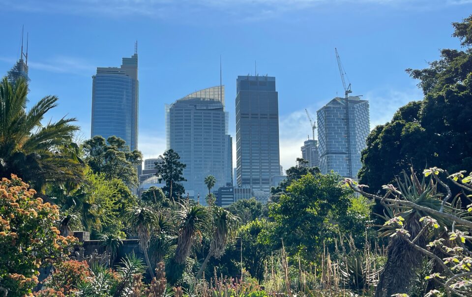 Royal Botanic Garden