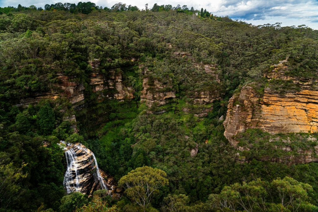 Blue Mountains