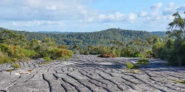 Ku-ring-gai Chase National Park