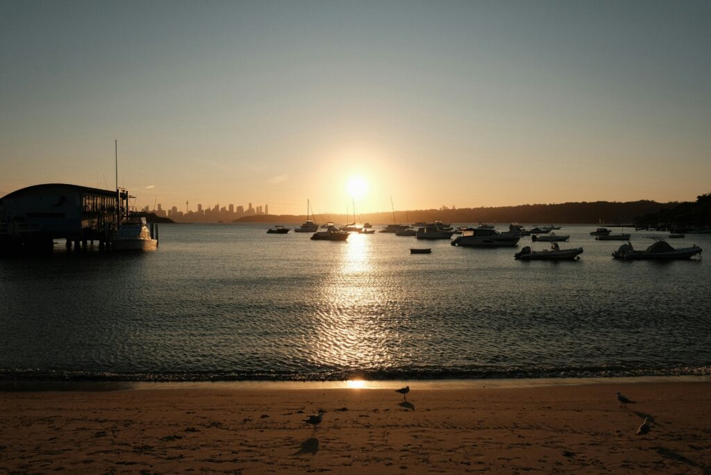 things to do in watsons bay sydney