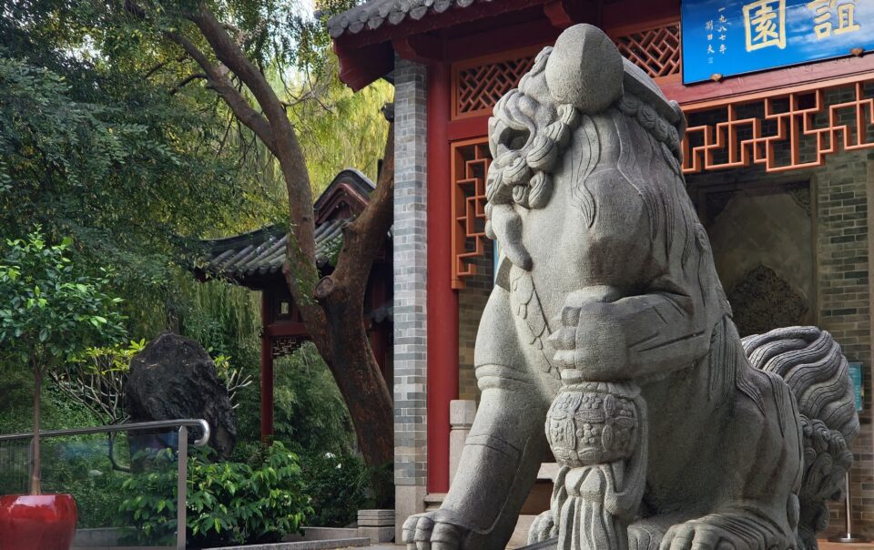 chinese garden of friendship sydney tour