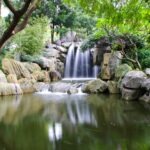 Discover the Chinese Garden of Friendship in Sydney
